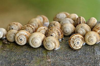 《无畏契约》正在开发主机版本 进展缓慢短期内不会推出