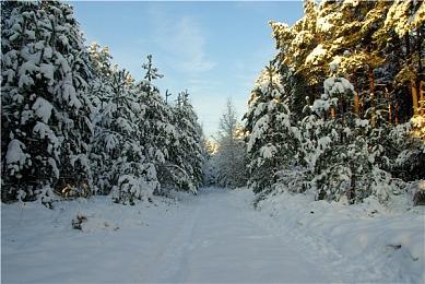 《骑马与砍杀2》新DLC战帆预告 维京海战刺激